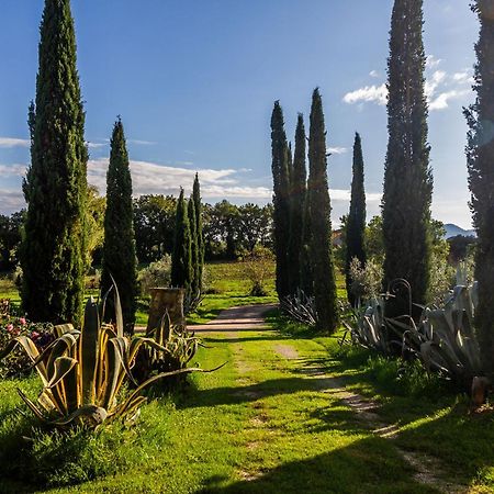 Agriturismo Bio Fattoria Casetta ガヴォッラーノ エクステリア 写真