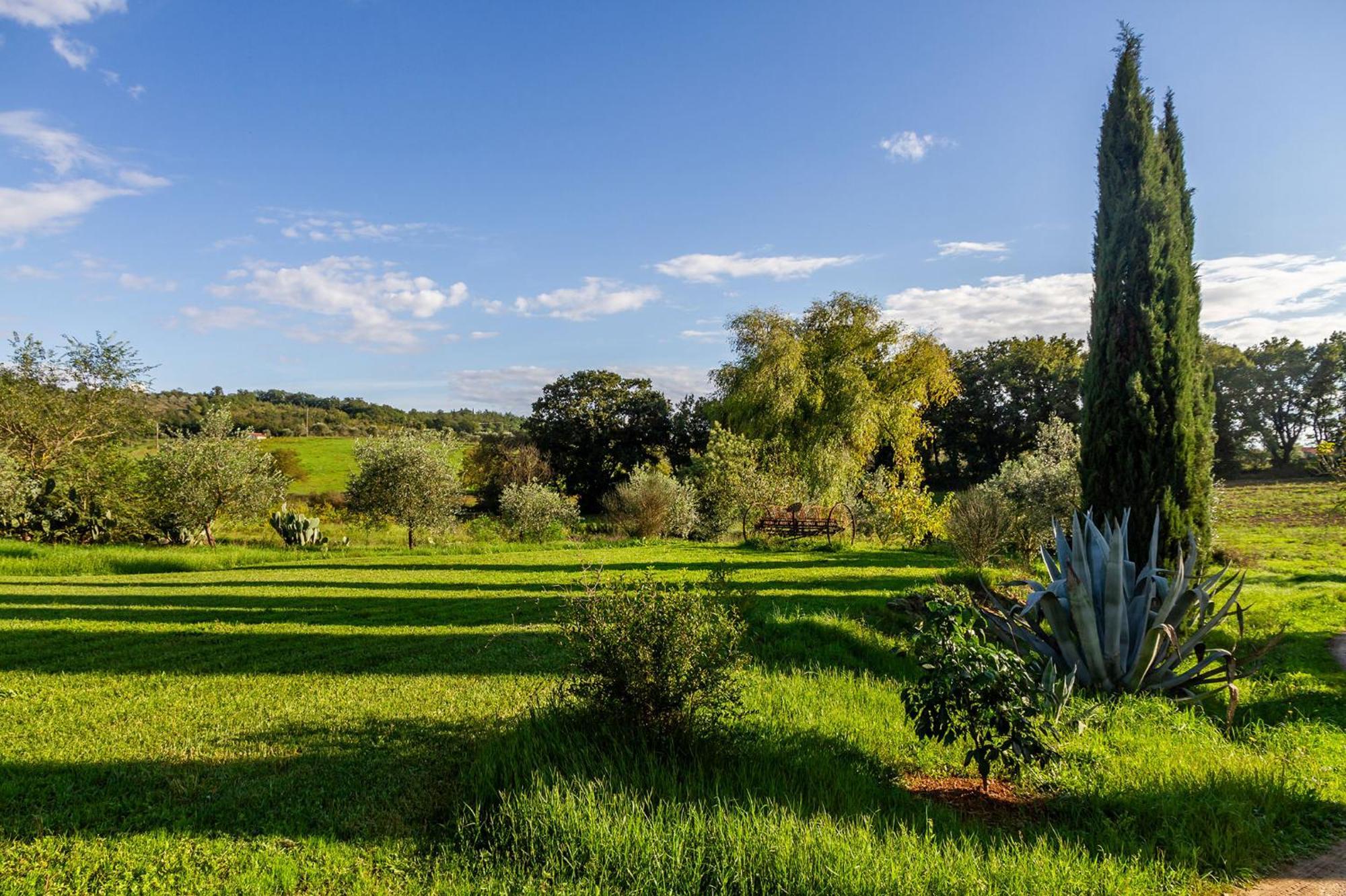 Agriturismo Bio Fattoria Casetta ガヴォッラーノ エクステリア 写真