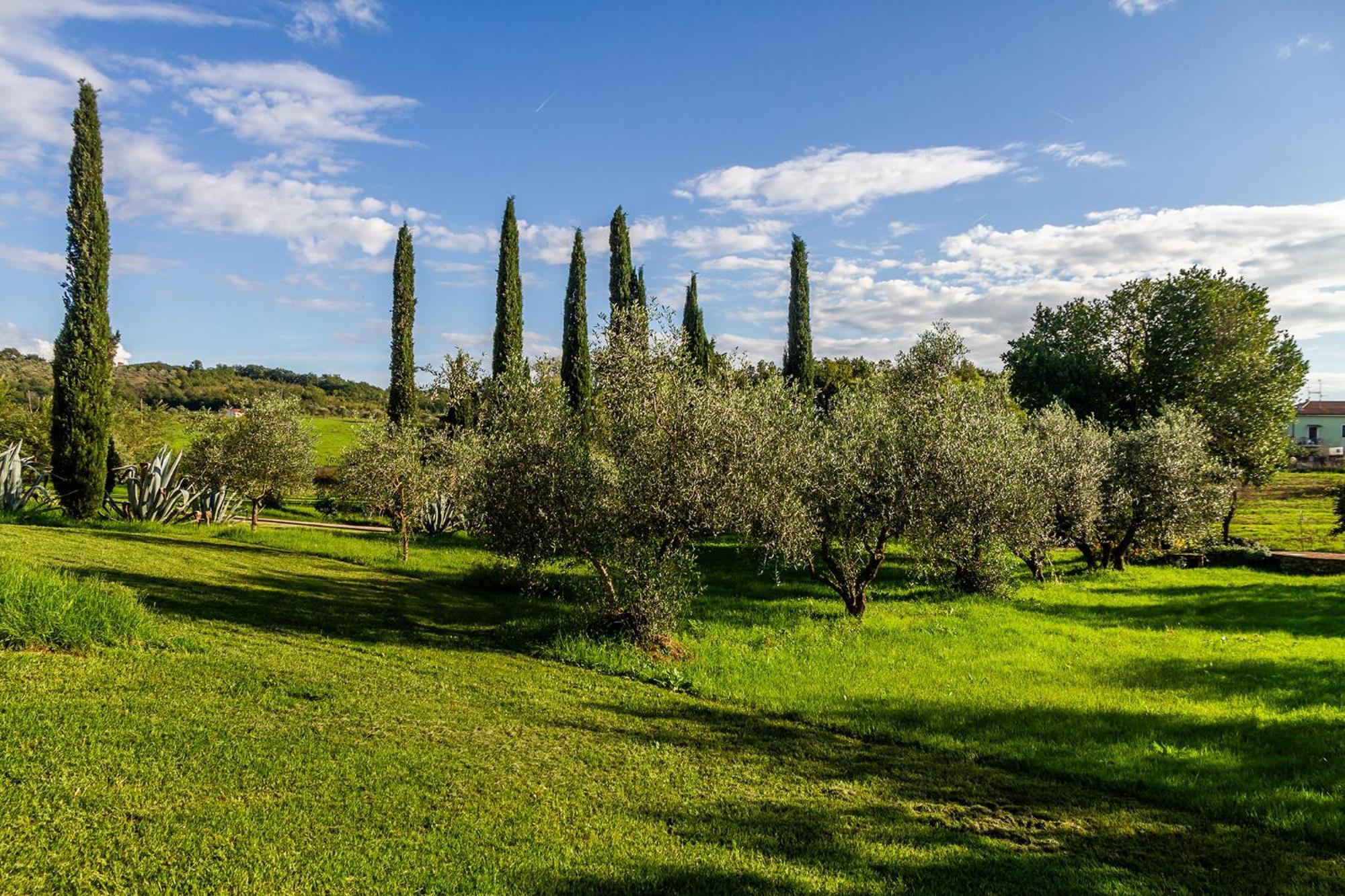 Agriturismo Bio Fattoria Casetta ガヴォッラーノ エクステリア 写真