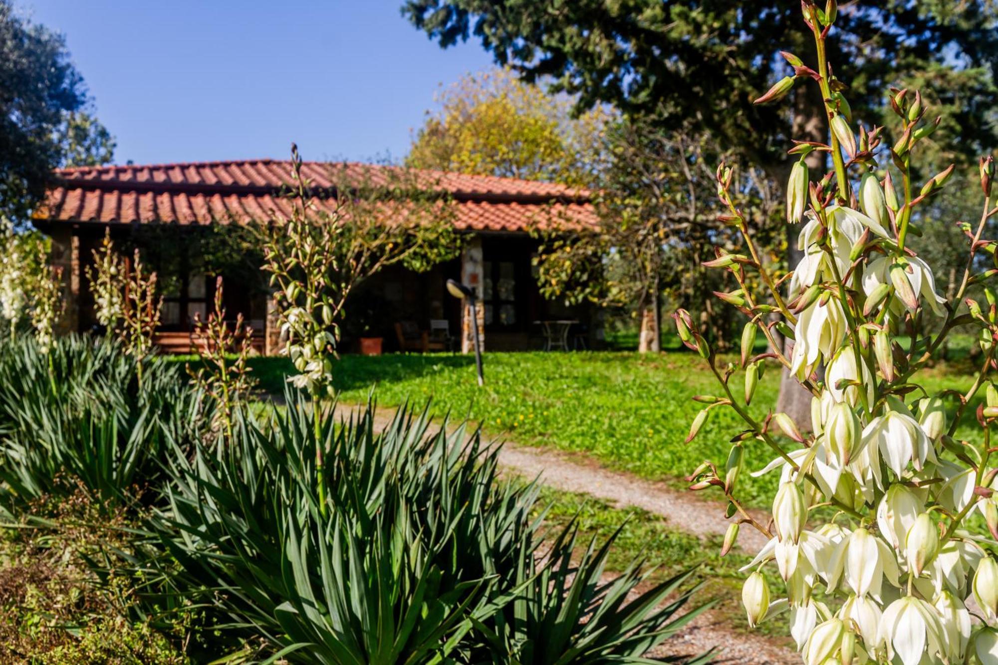 Agriturismo Bio Fattoria Casetta ガヴォッラーノ エクステリア 写真