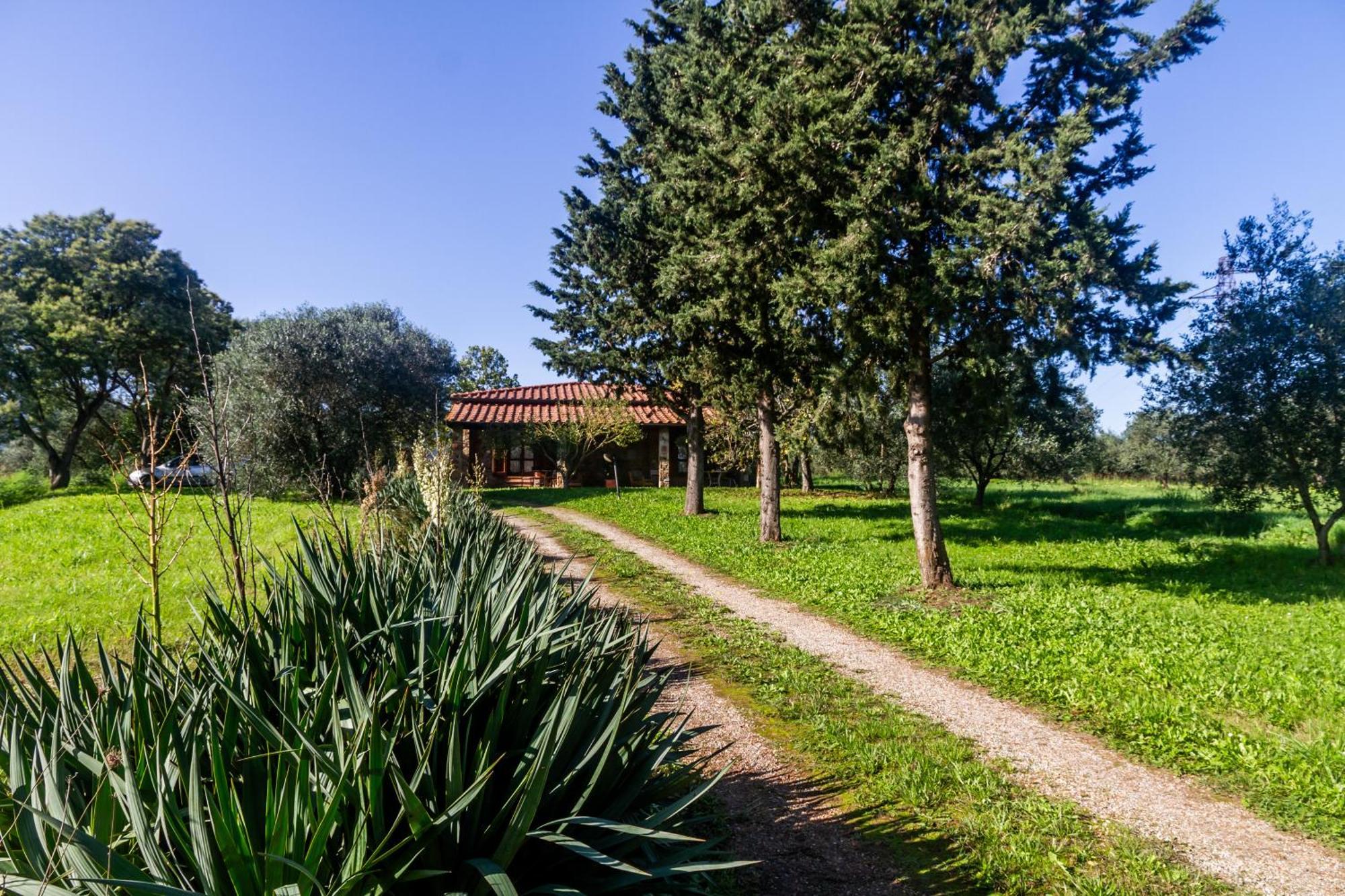 Agriturismo Bio Fattoria Casetta ガヴォッラーノ エクステリア 写真
